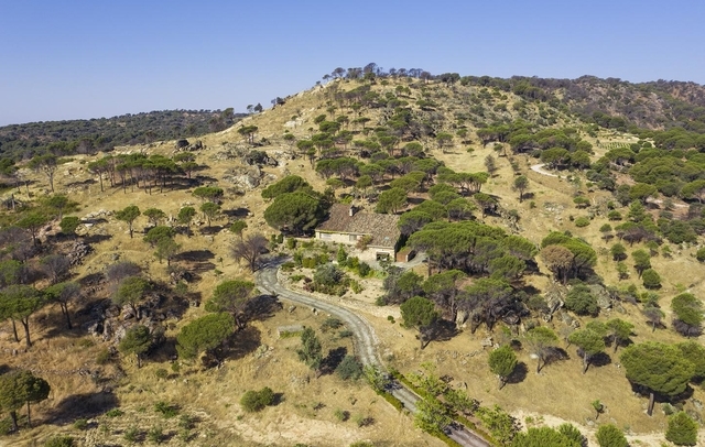 Fotografia propiedad S21