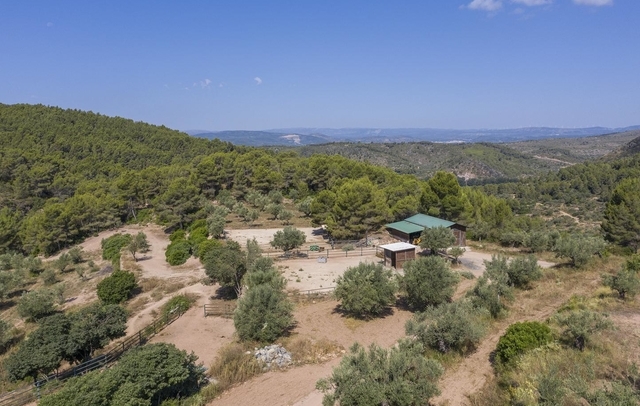 Fotografia propiedad S9