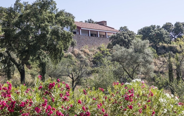 Fotografia propiedad S20