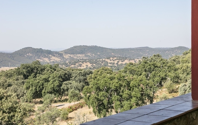 Fotografia propiedad S20