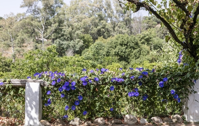 Fotografia propiedad S39