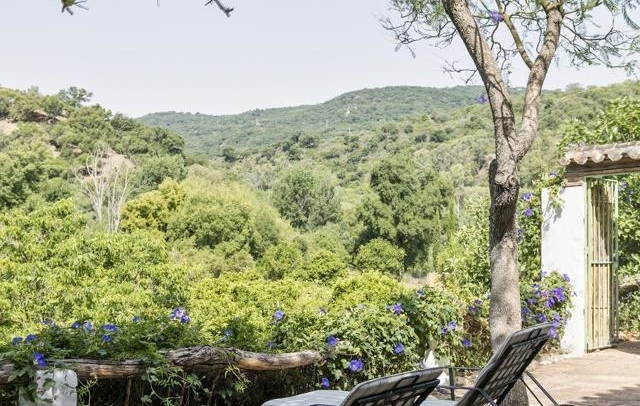 Fotografia propiedad S39