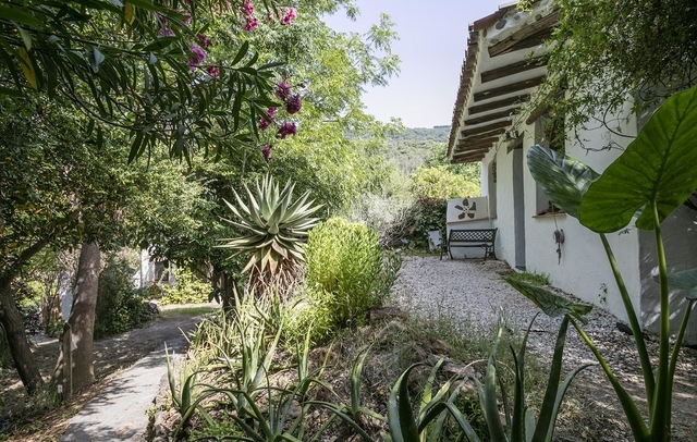 Fotografia propiedad S39