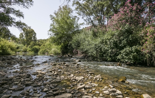Fotografia propiedad S39
