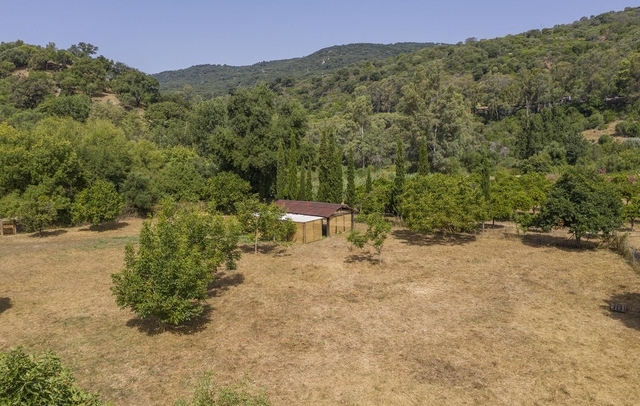 Fotografia propiedad S39