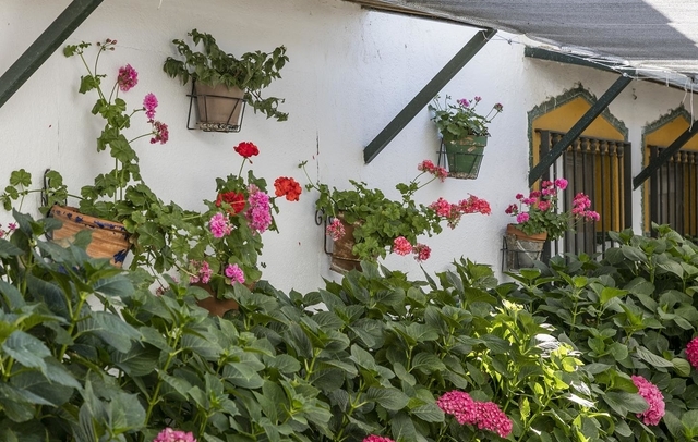 Fotografia propiedad S13