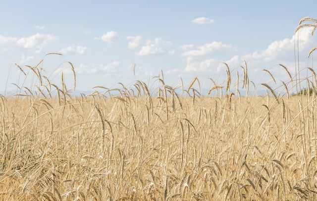 Fotografia propiedad S13