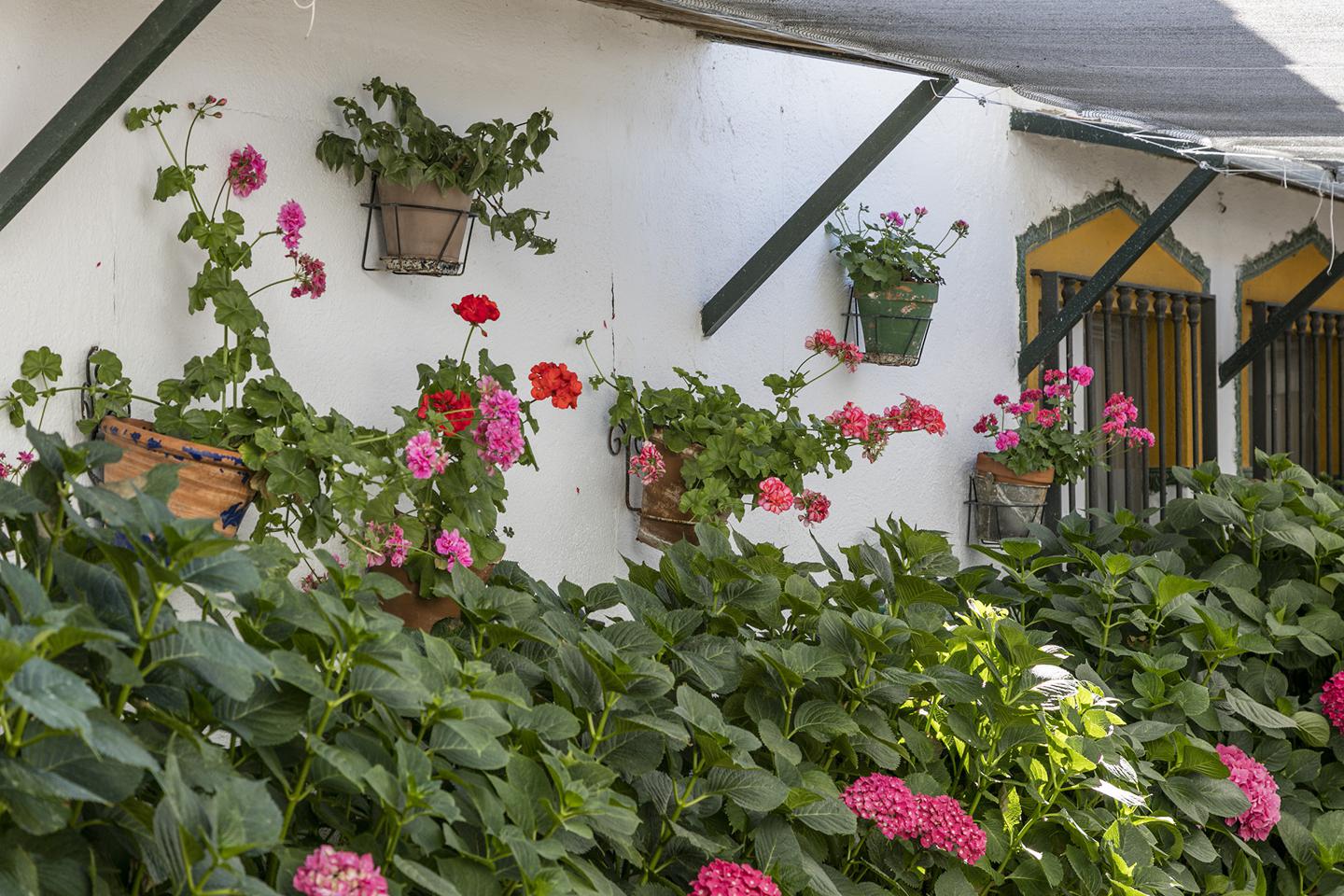 Fotografia propiedad S13