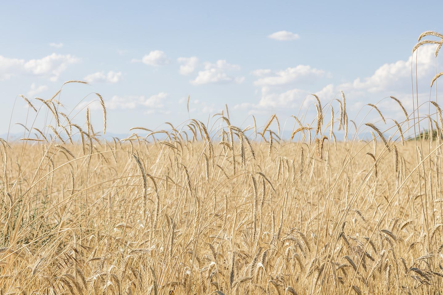 Fotografia propiedad S13