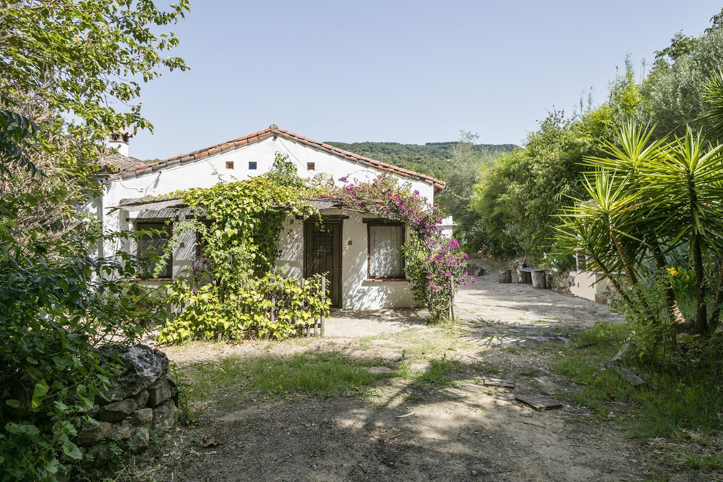 Fotografia propiedad S39