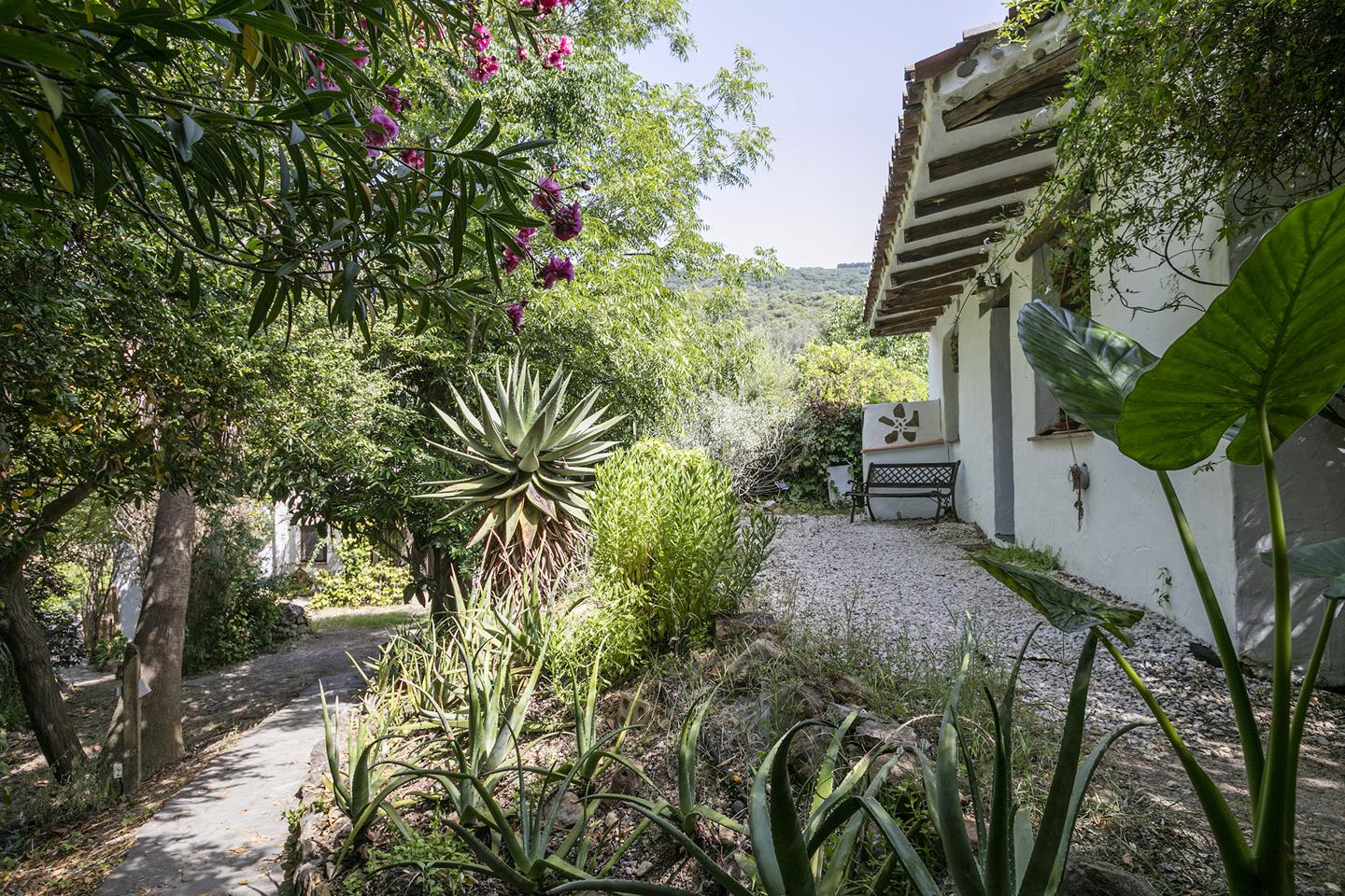 Fotografia propiedad S39