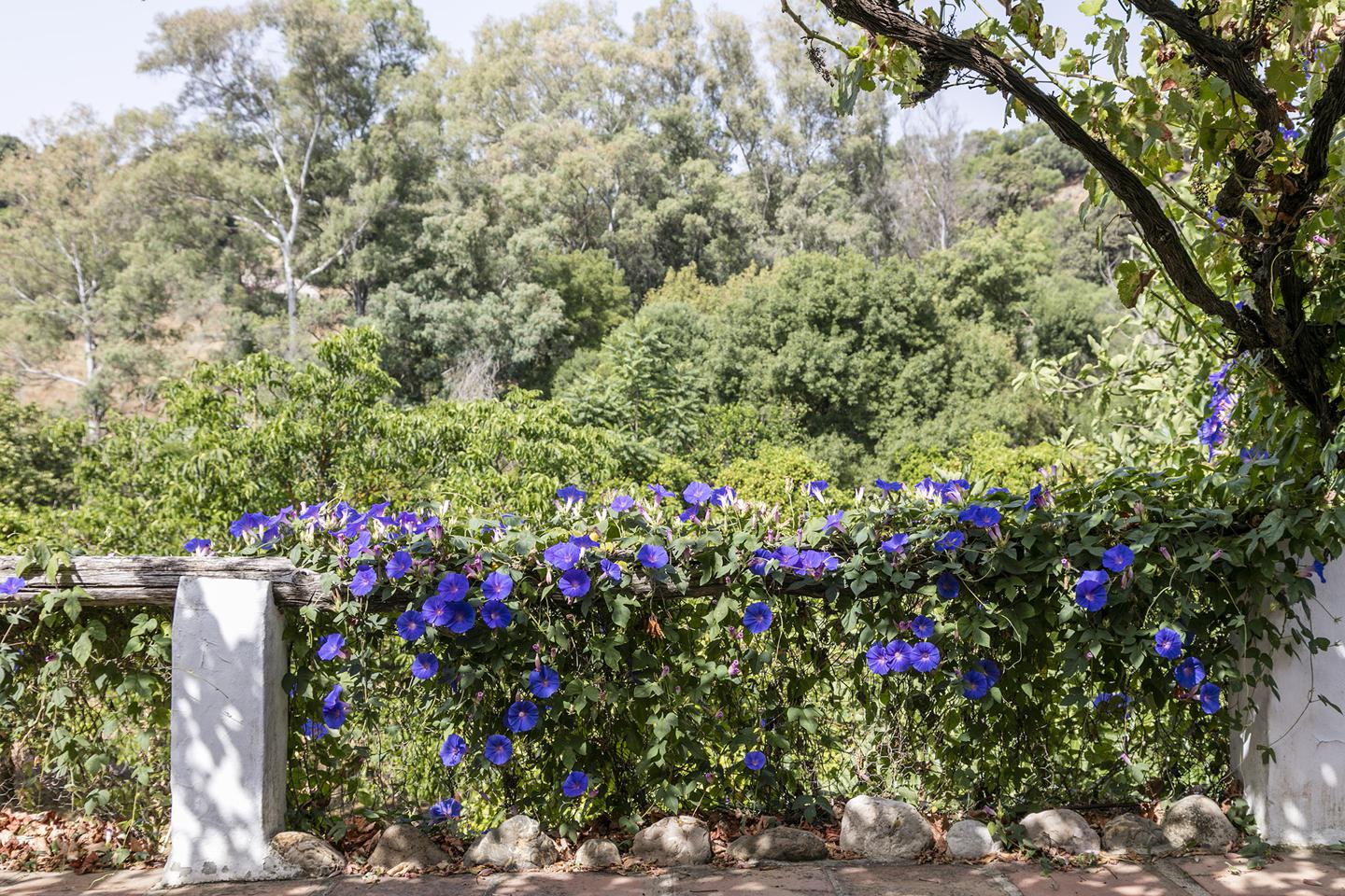 Fotografia propiedad S39