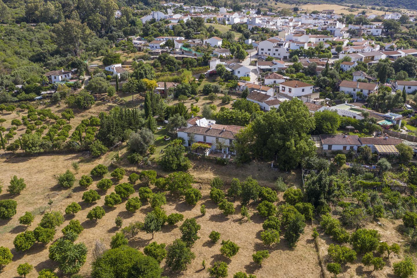 Fotografia propiedad S39