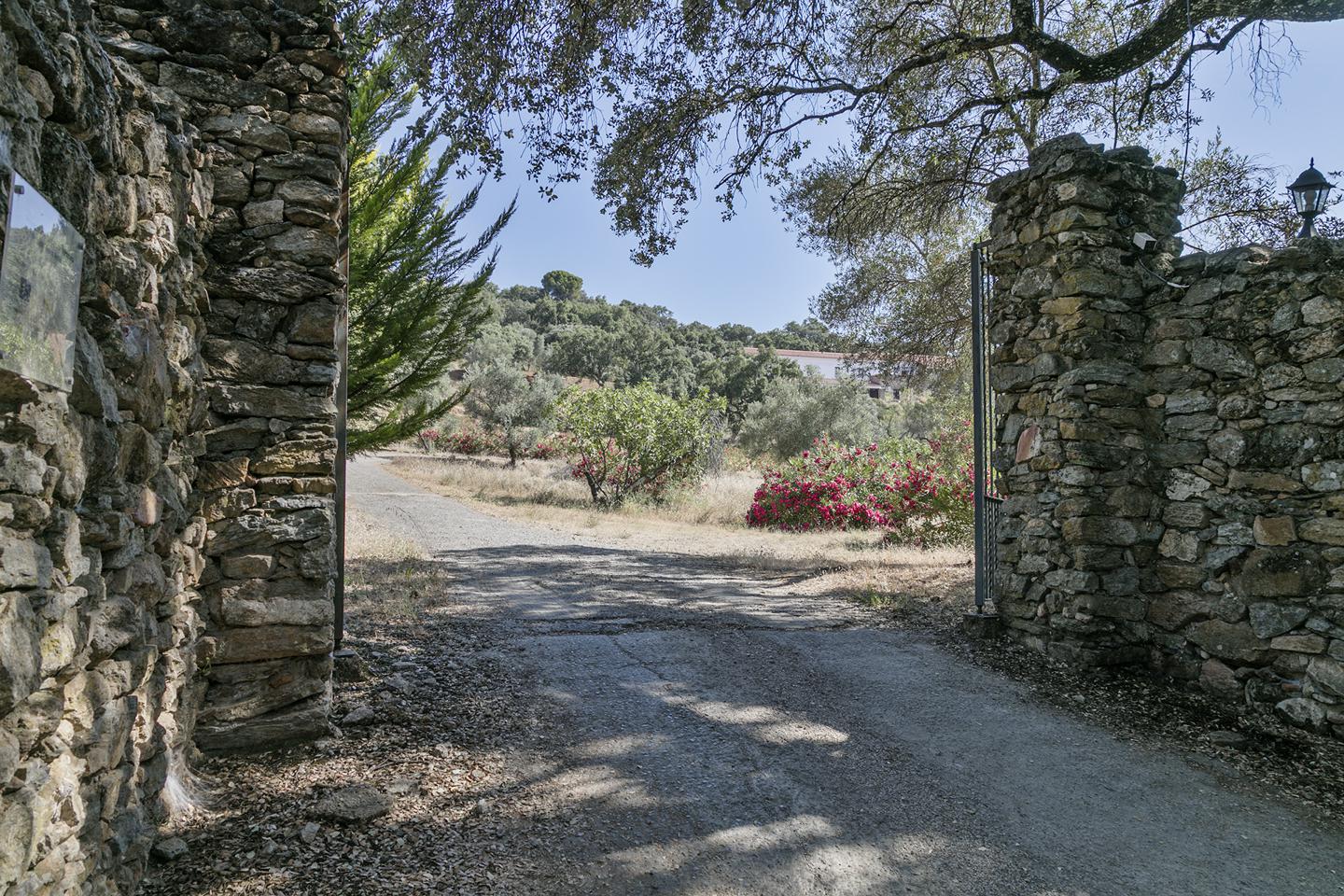 Fotografia propiedad S20