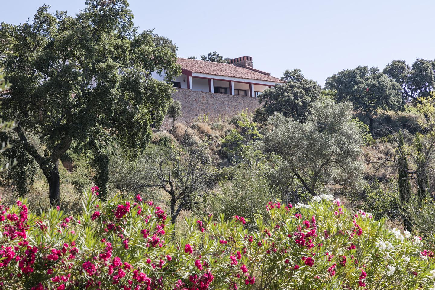 Fotografia propiedad S20