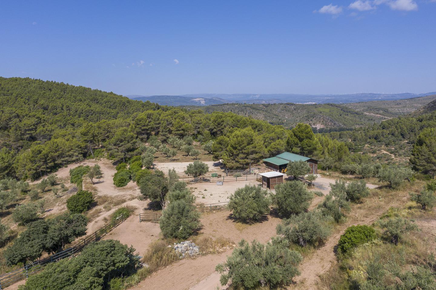 Fotografia propiedad S9