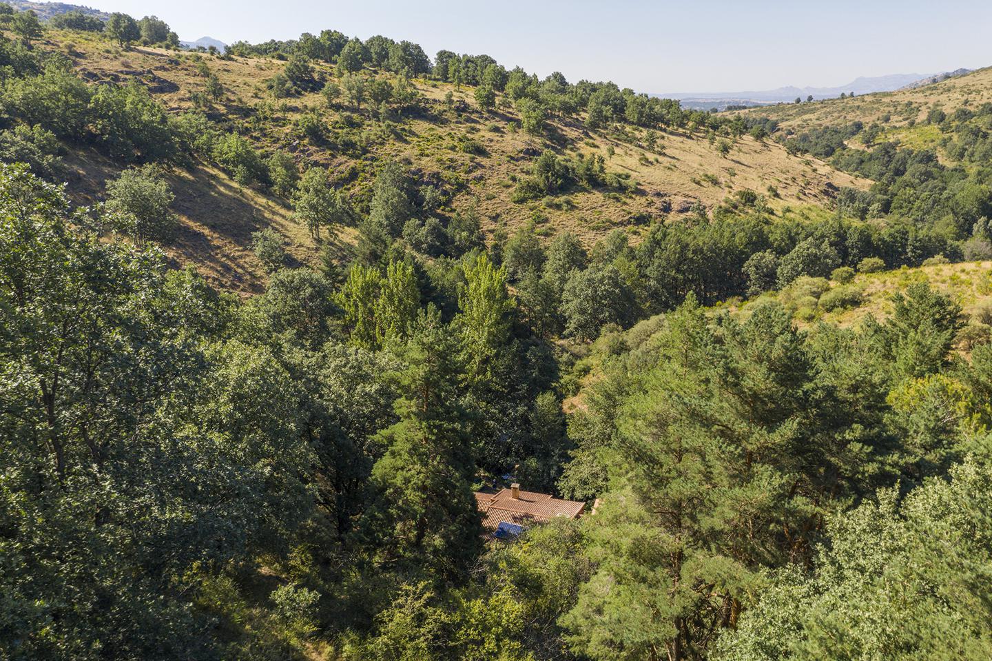 Fotografia propiedad S35