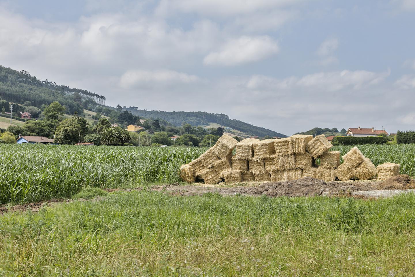 Fotografia propiedad S26