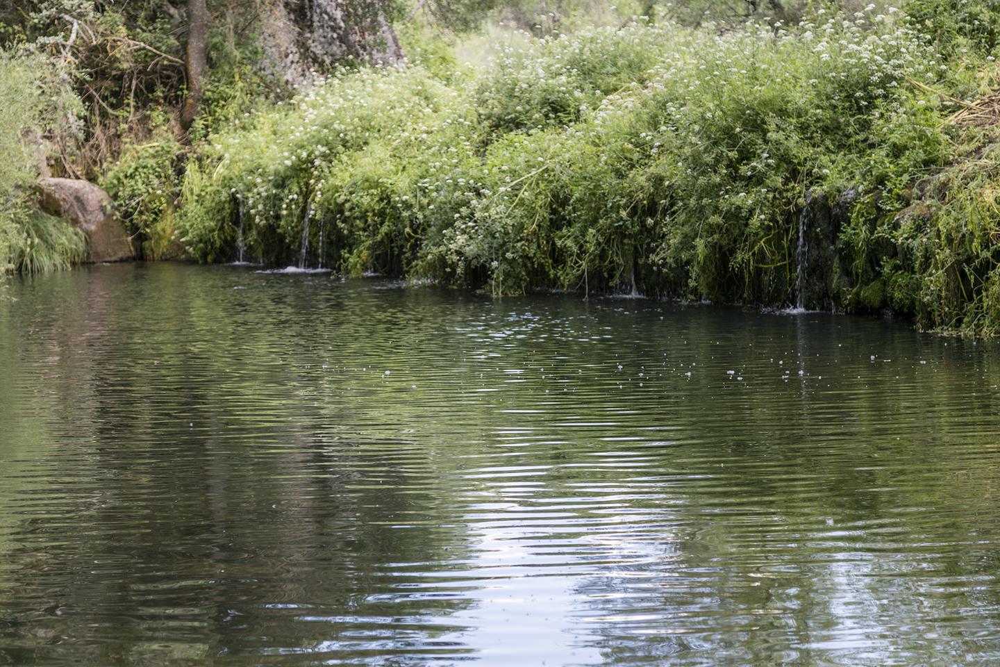 Fotografia propiedad S3