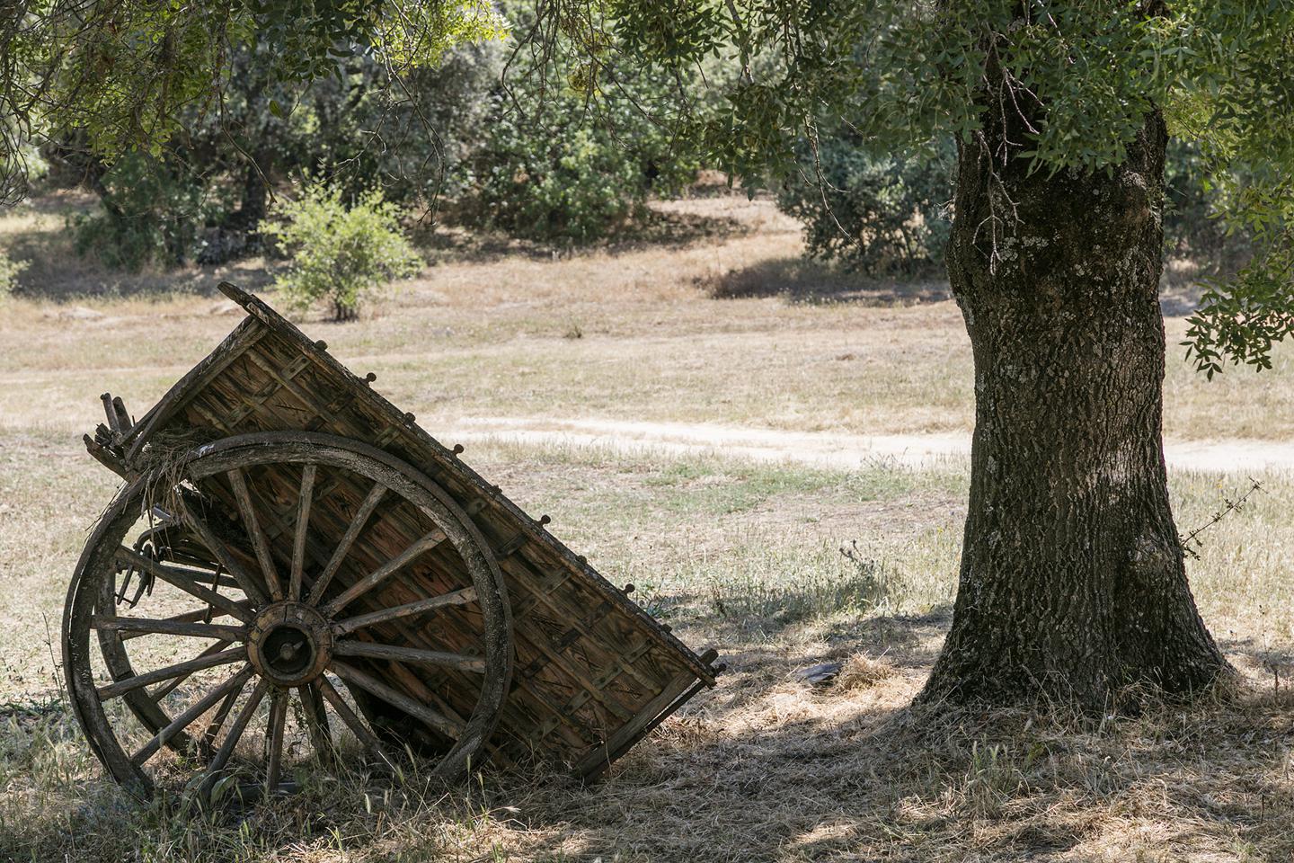 Fotografia propiedad S11