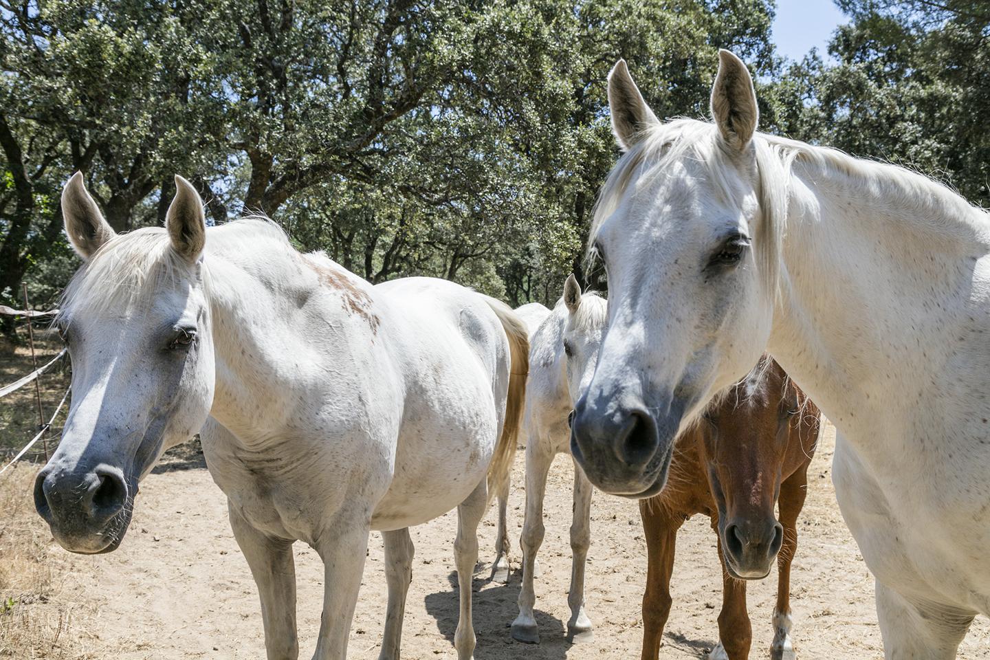 Fotografia propiedad S11