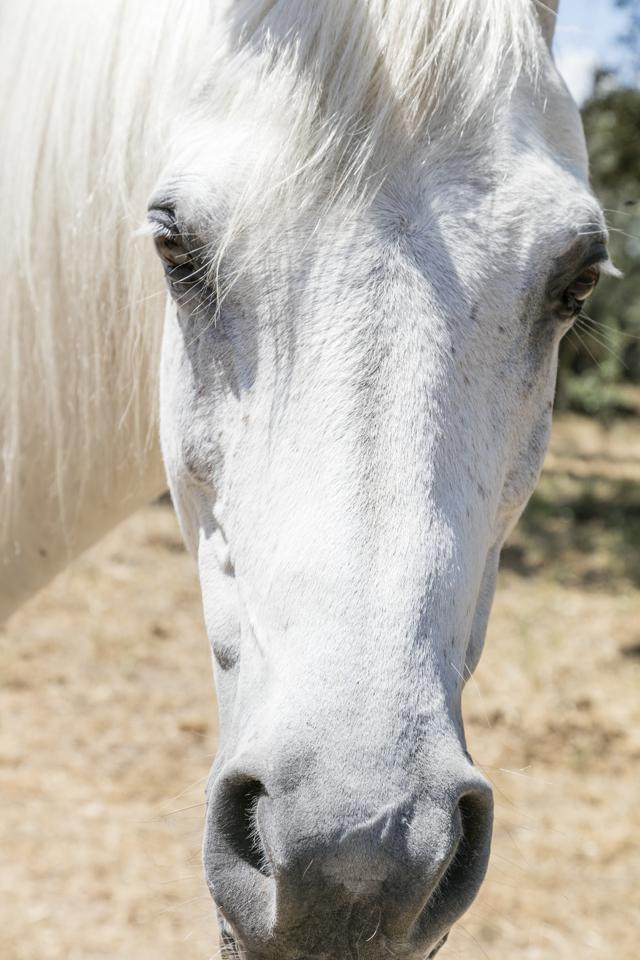 Fotografia propiedad S11