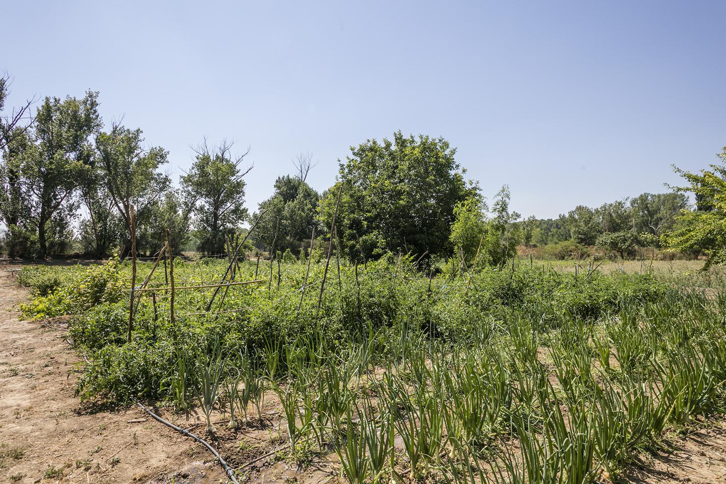 Fotografia propiedad S47