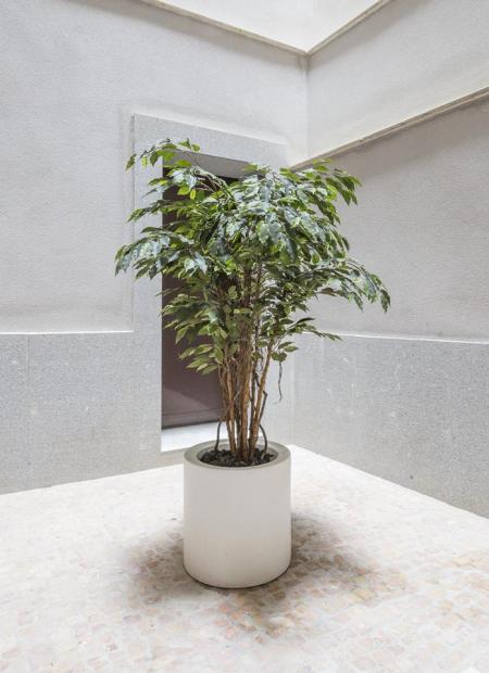 Property image S87