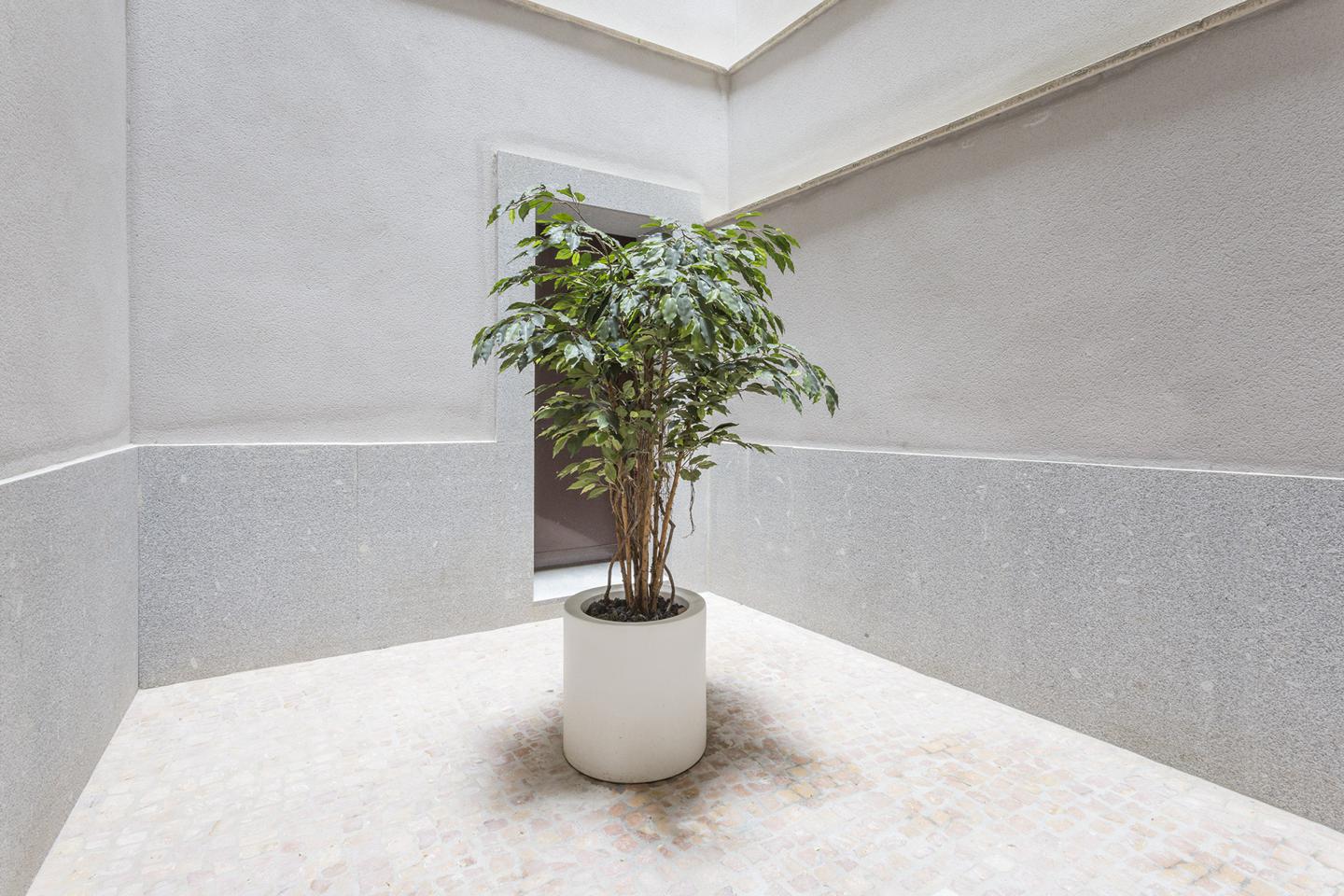 Property image S87