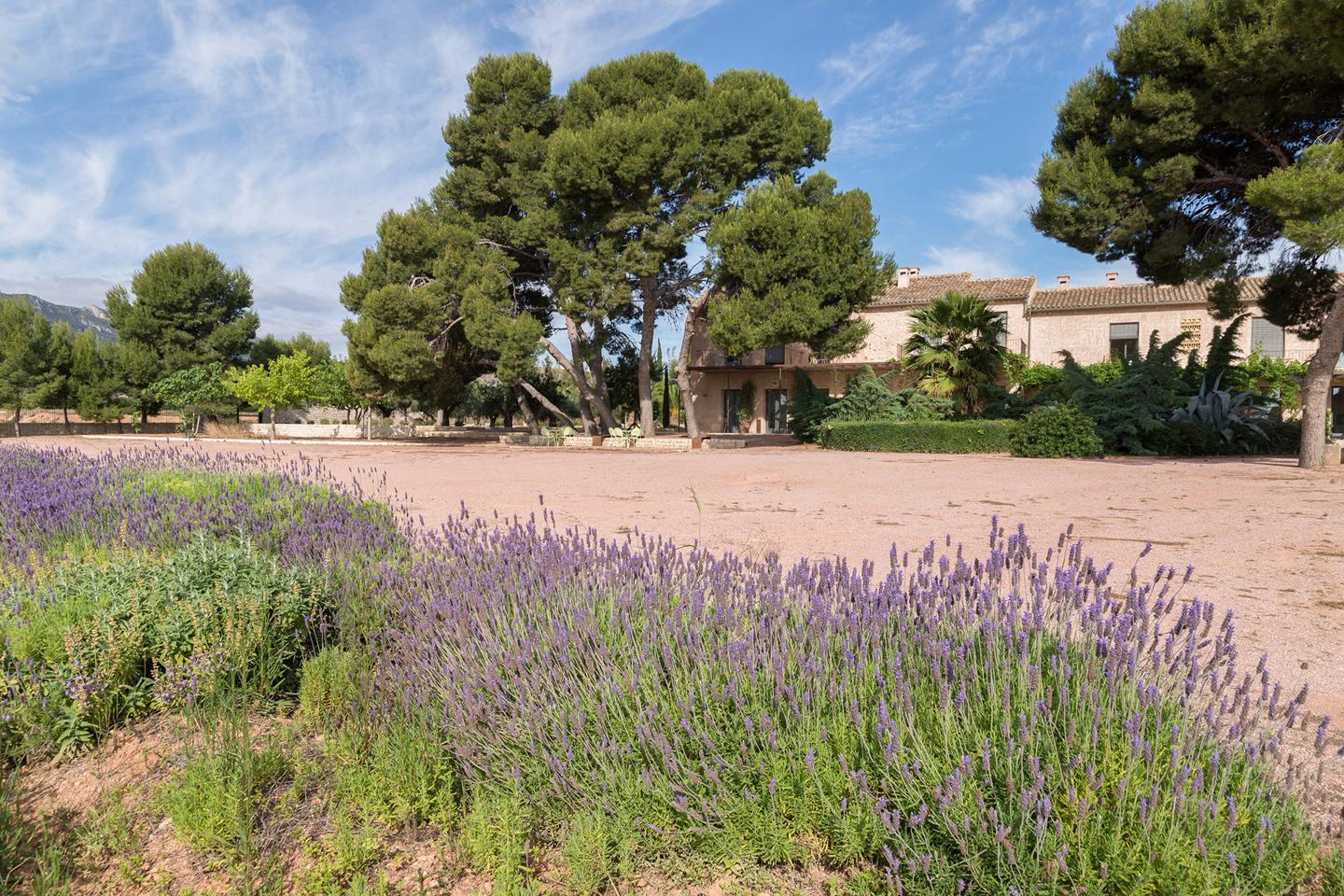 Fotografia propiedad S94