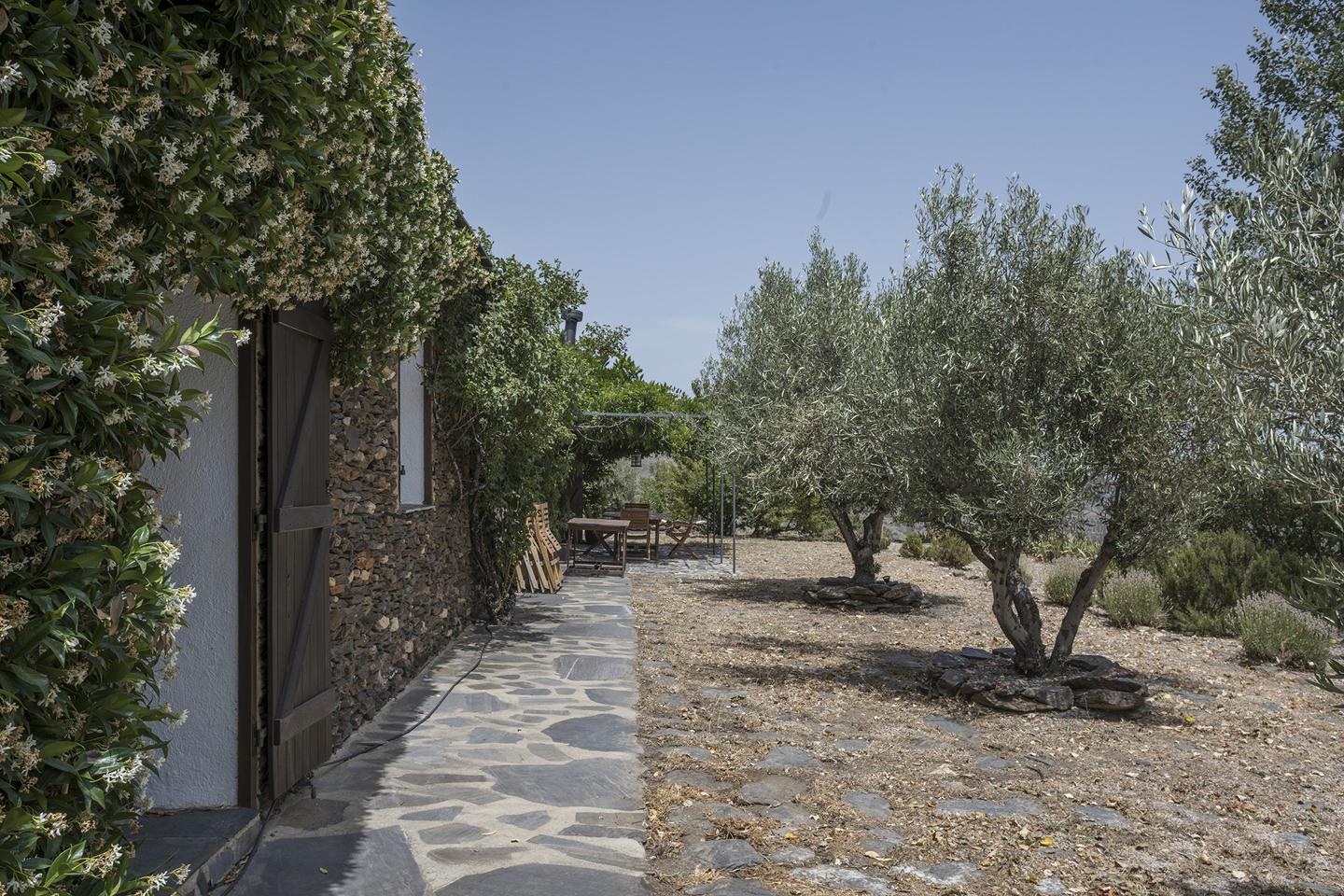 Fotografia propiedad S96