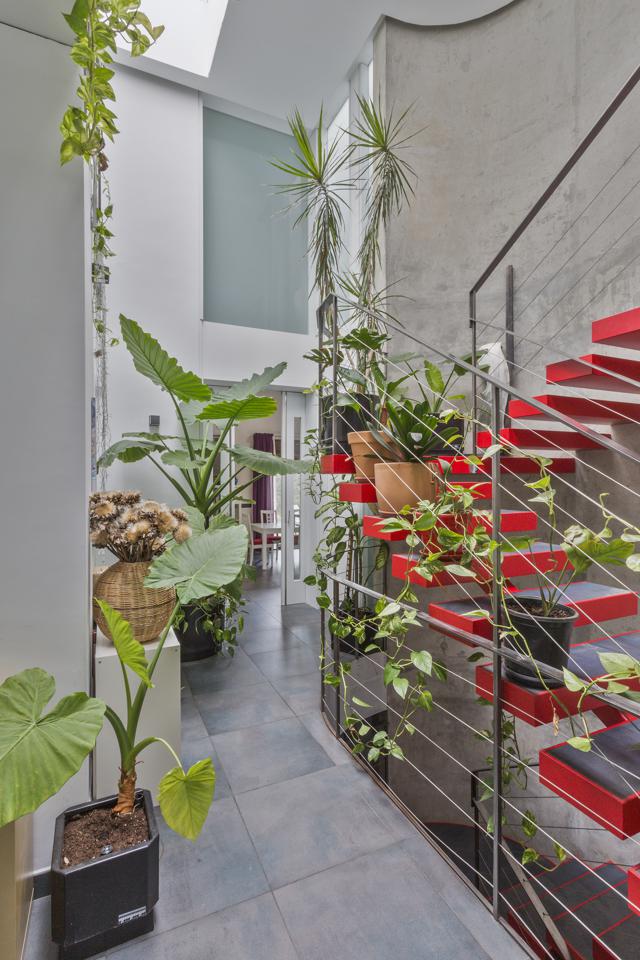 Fotografia propiedad S103