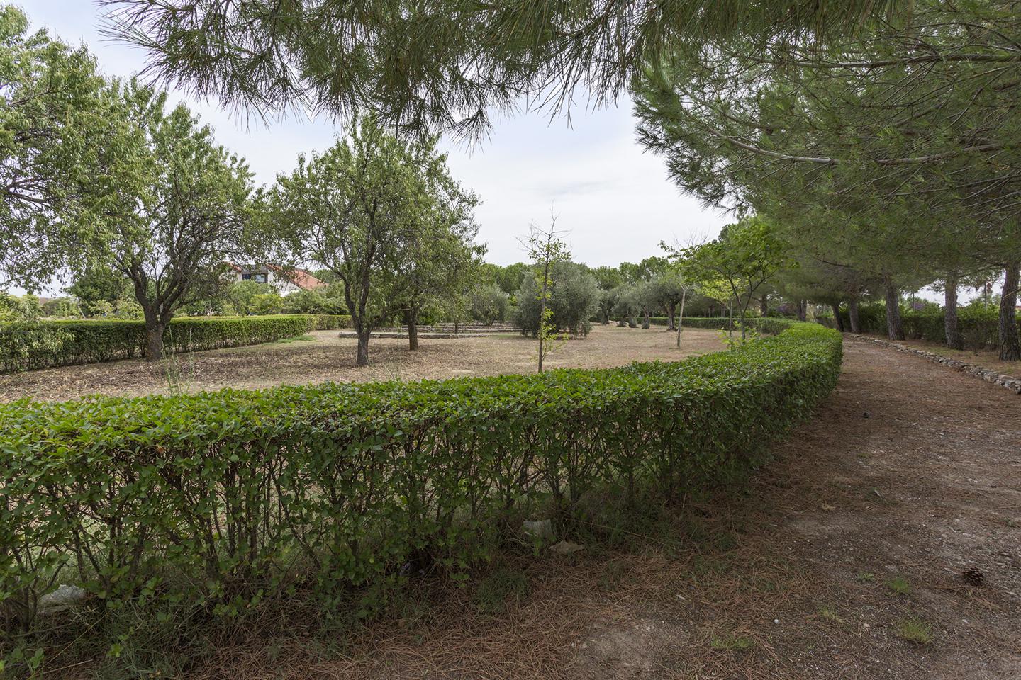 Fotografia propiedad S103