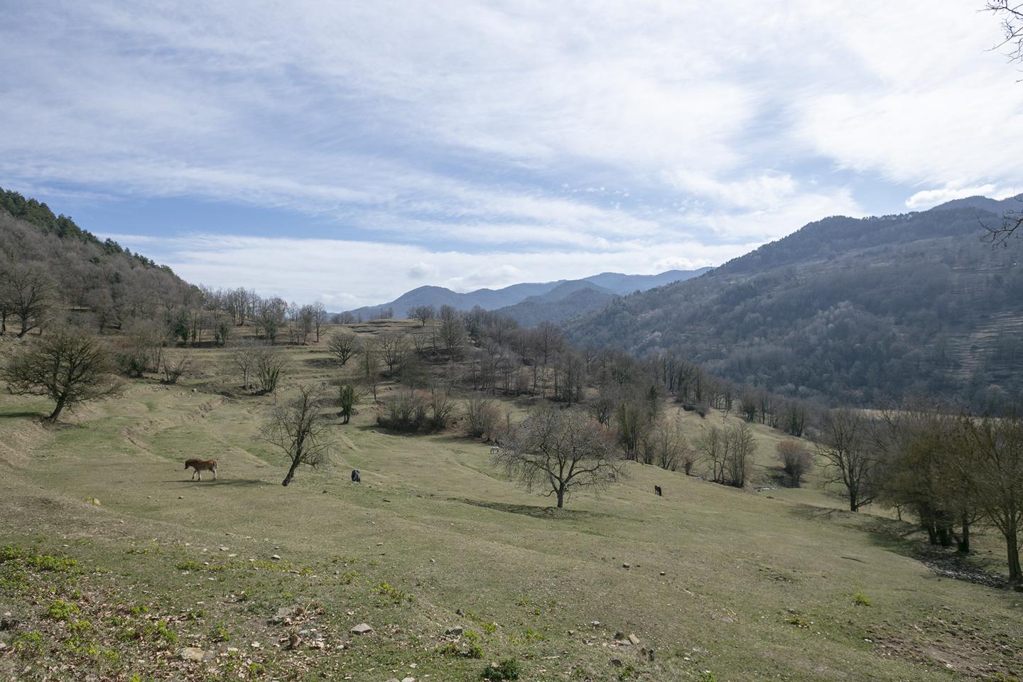Property image S125
