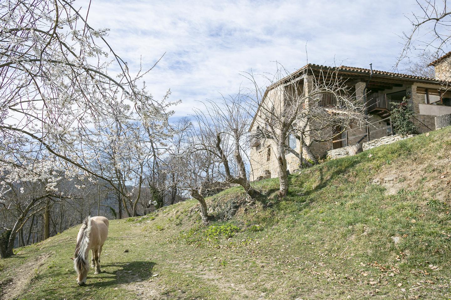 Property image S125