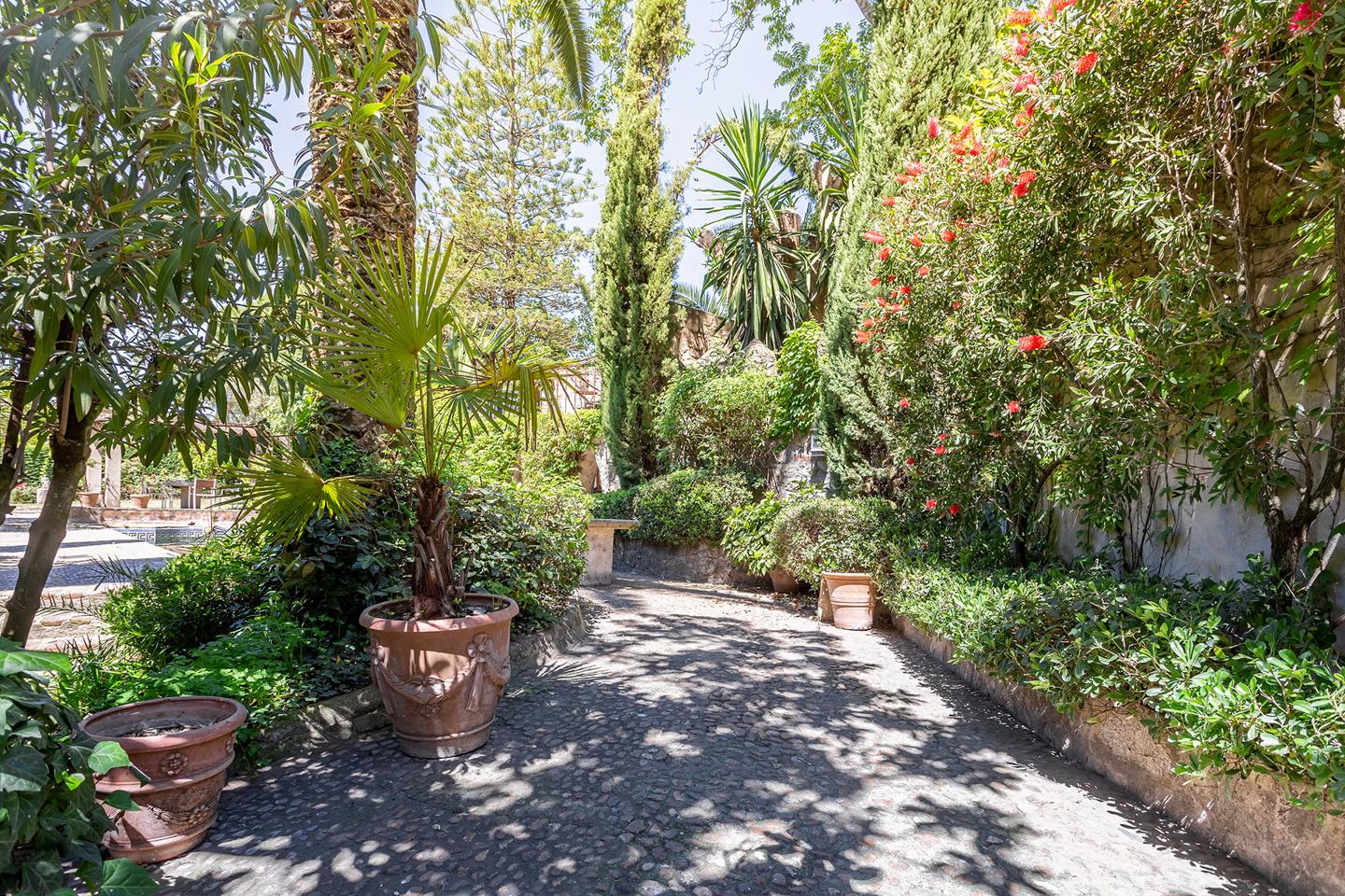 Fotografia propiedad S134