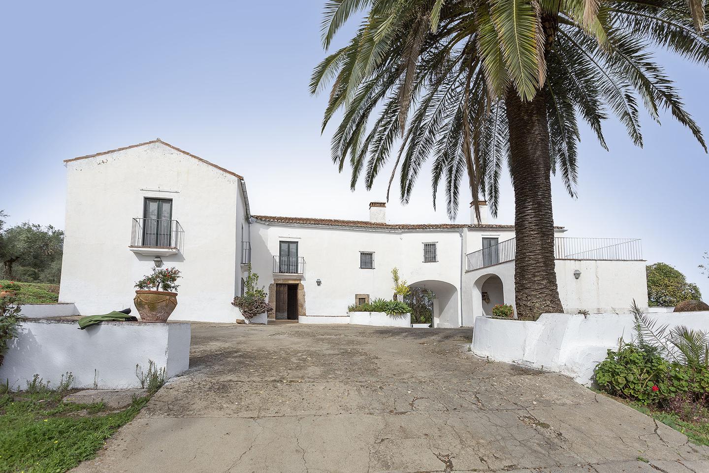 Property image S154