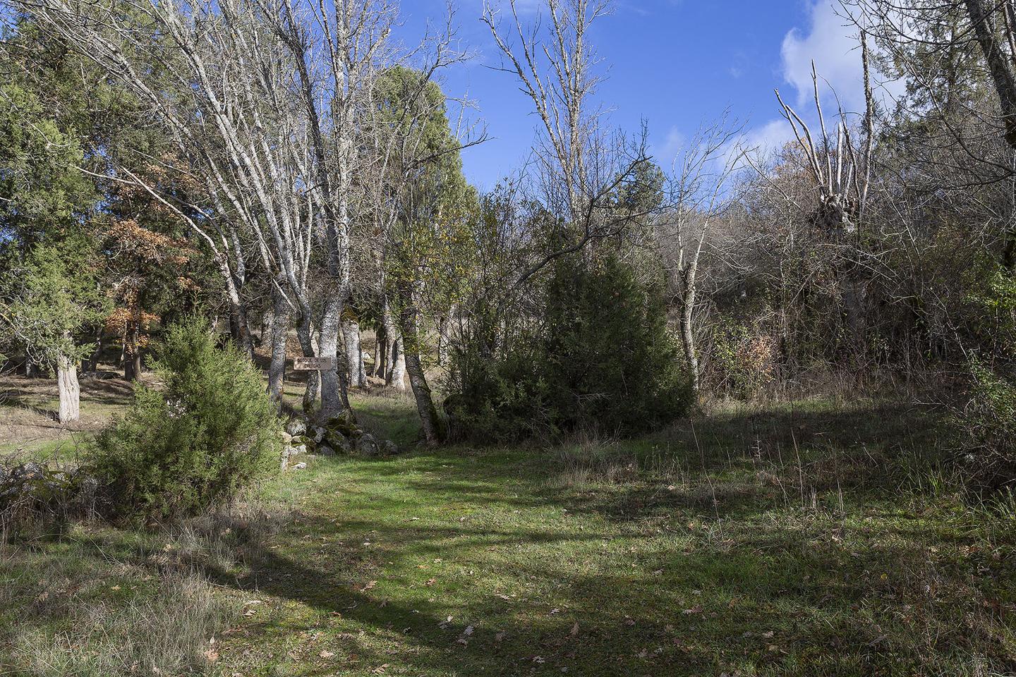 Property image S156