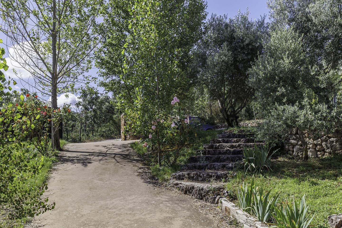 Fotografia propiedad S171