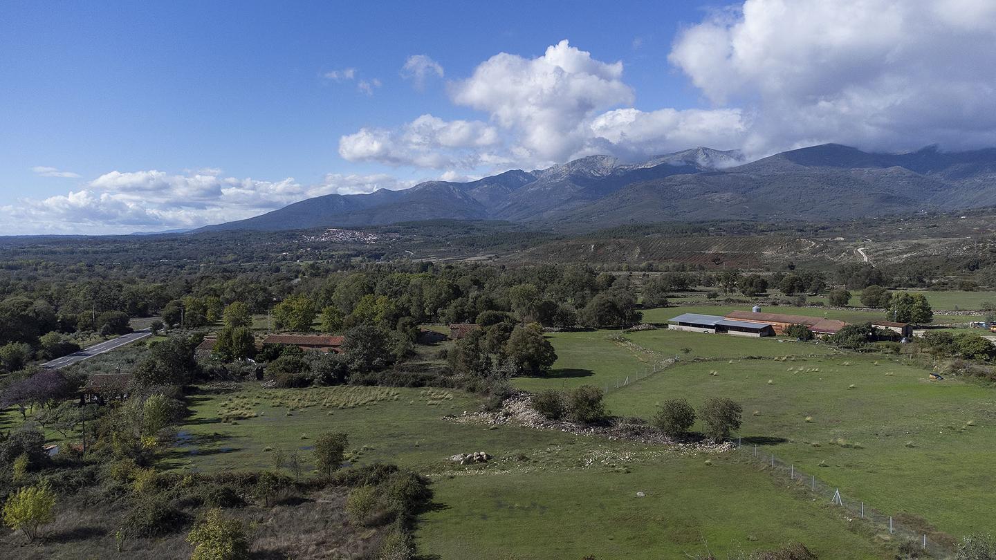 Property image S177