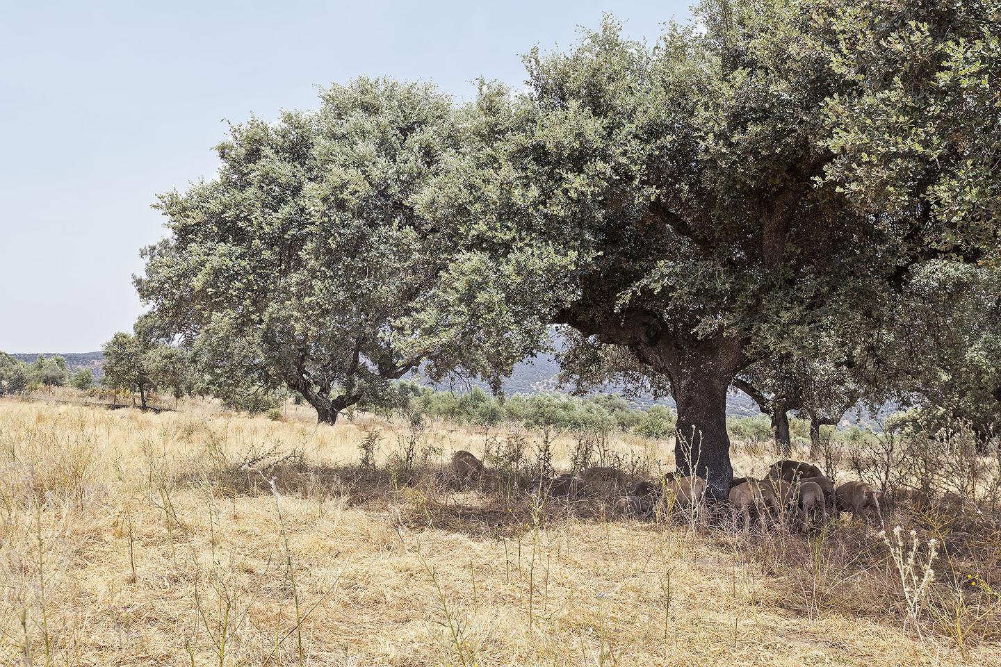 Fotografia propiedad S193