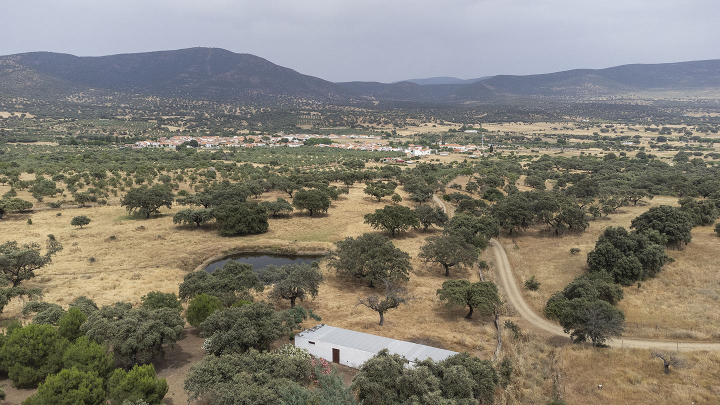 Fotografia propiedad S193