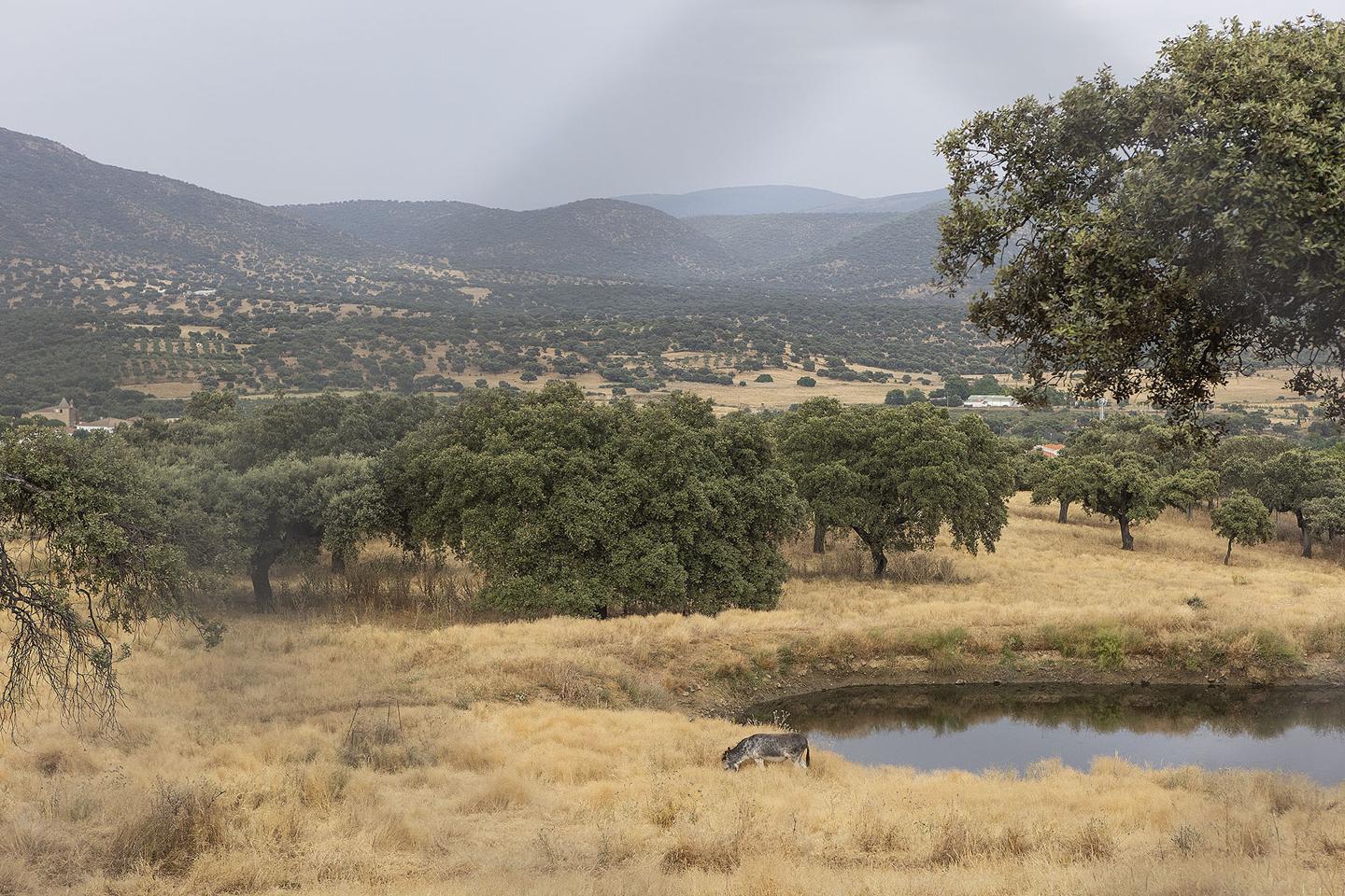 Fotografia propiedad S193