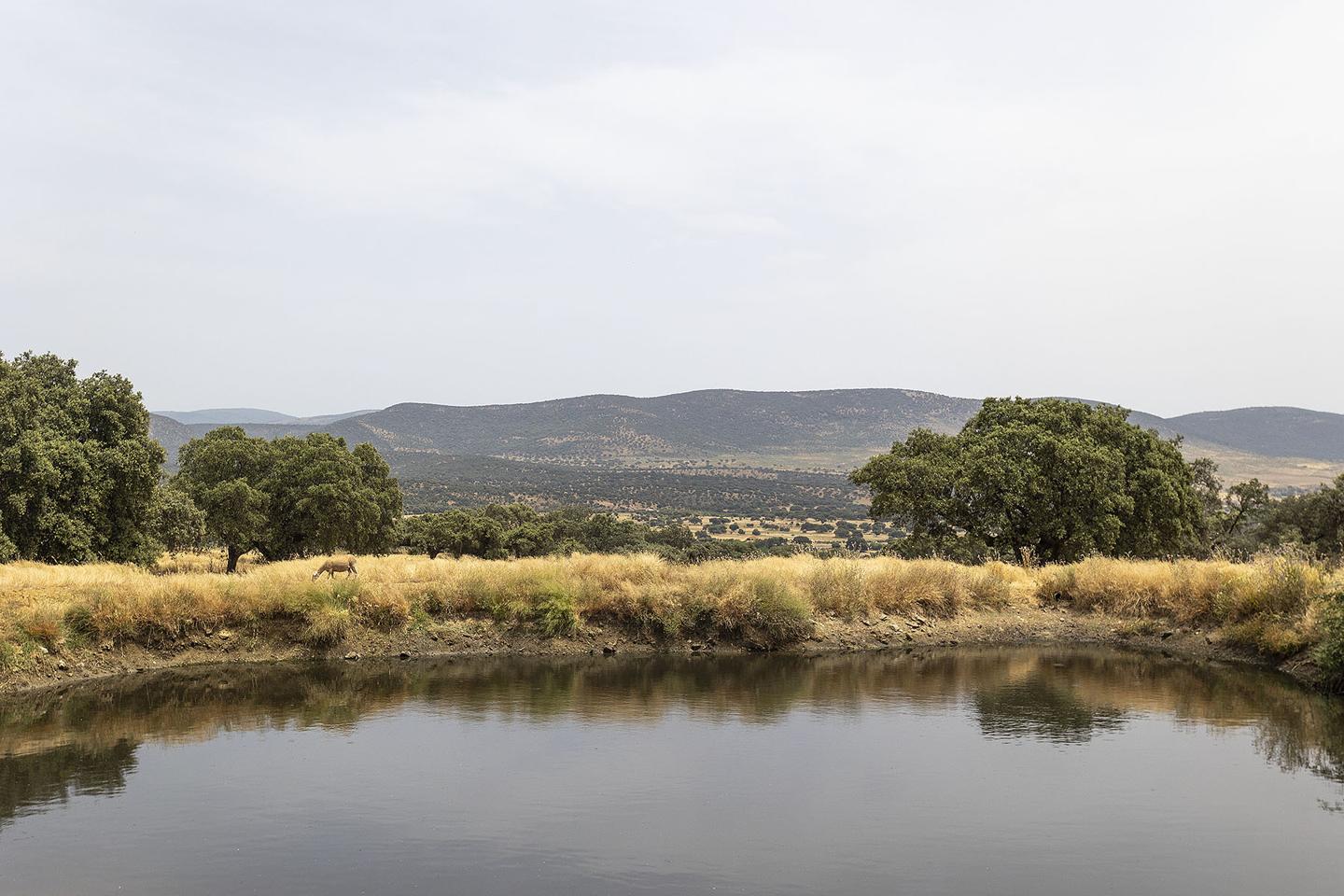 Fotografia propiedad S193