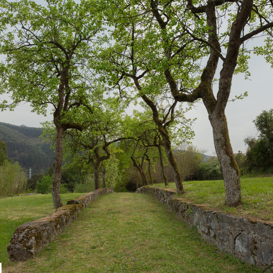 Fotografia propiedad S194