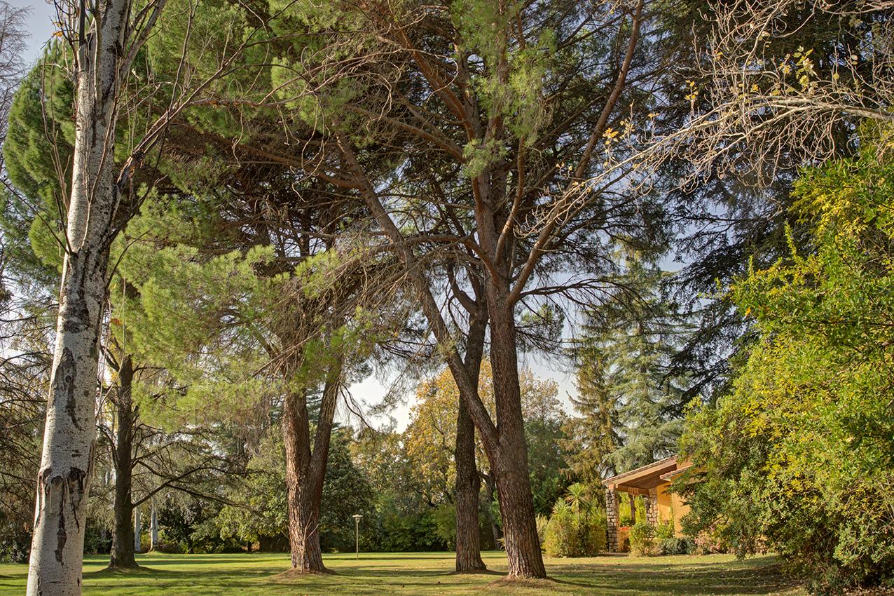 Fotografia propiedad S205