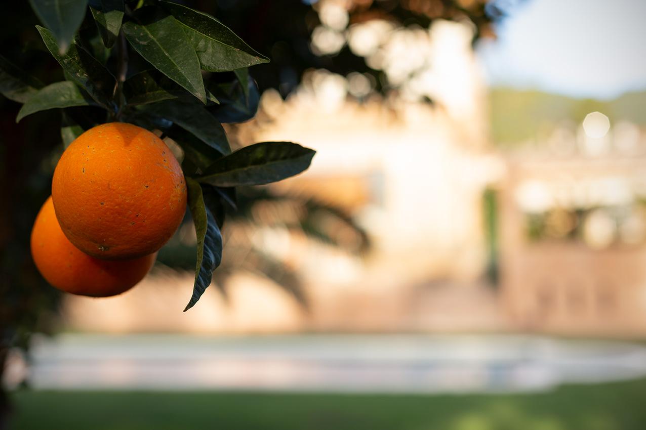 Fotografia propiedad S206