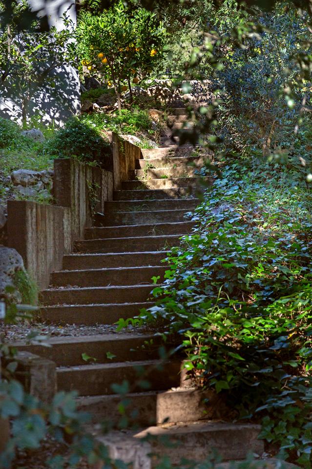 Fotografia propiedad S207