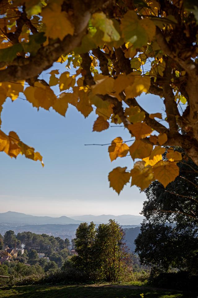 Fotografia propiedad S207