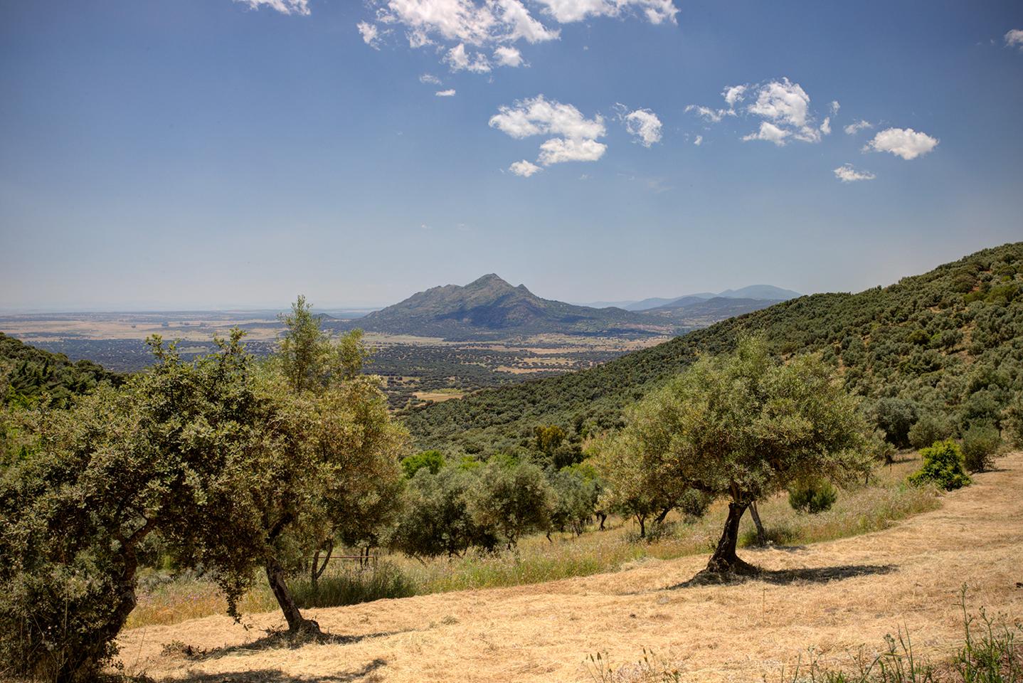 Fotografia propiedad S221